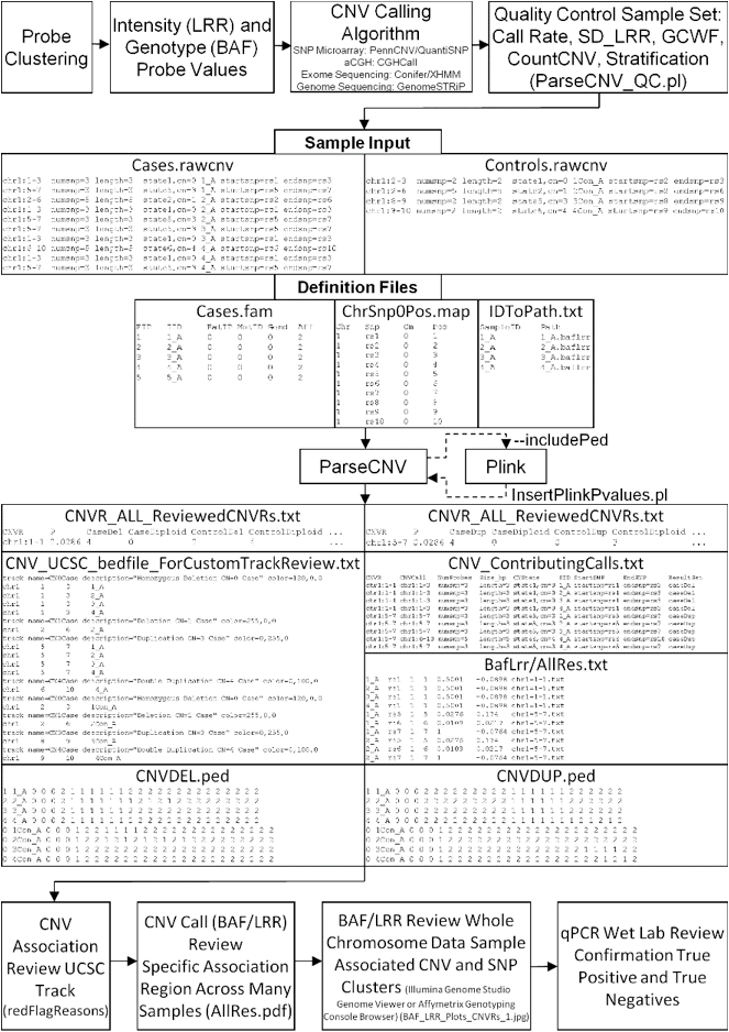 Description: P:\Joe\ParseCNVPaper\ParseCNV_Figure1_Workflow_PlinkIntegration_Automation_SeqCgh.png